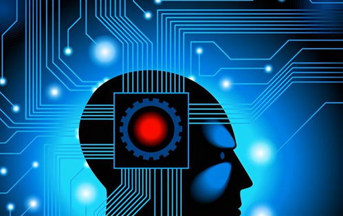 人工智能算法碎片化之谜 计算机视觉的 Bug 歧途与技术开发路径